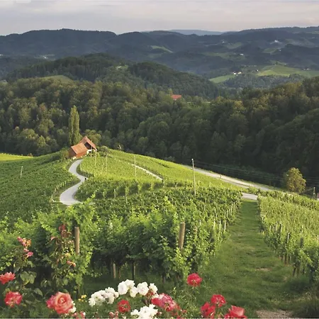 Mond, & Entertainment 4* Sentilj