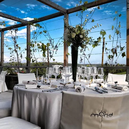 Mond, & Entertainment שנטילי