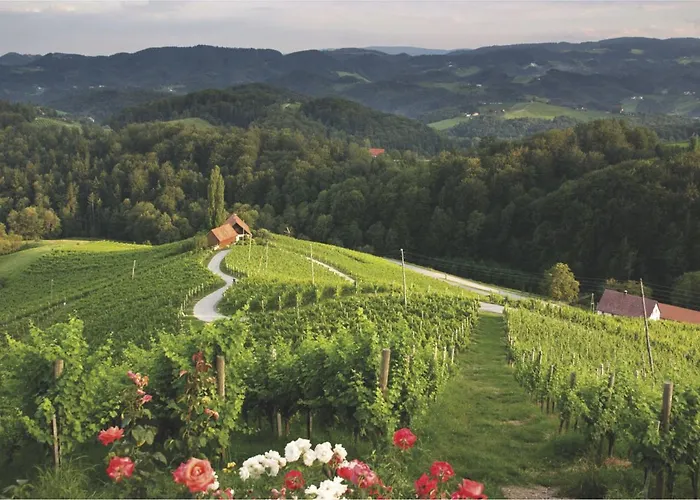 Mond, & Entertainment 4* Sentilj