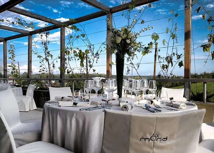 Mond, & Entertainment Sentilj