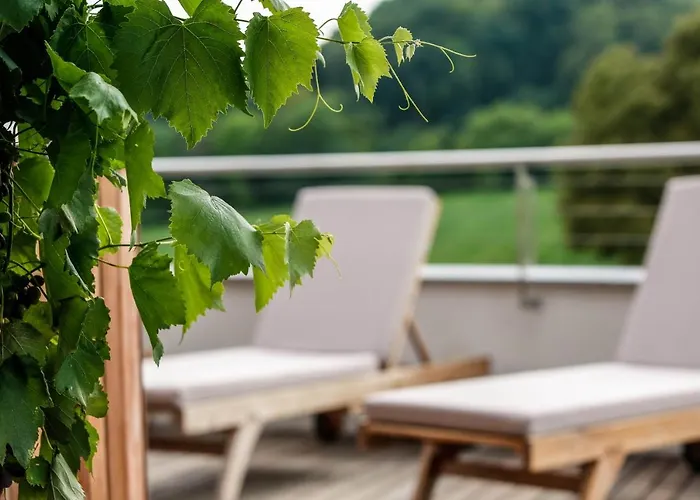 Hotel Mond, & Entertainment